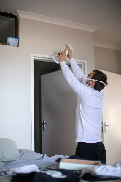 Best Real Estate Mold Inspection  in Baldwin, FL