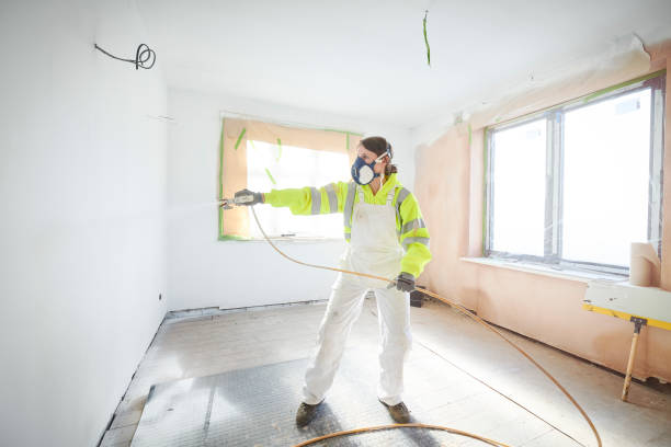 Best Emergency Mold Remediation  in Baldwin, FL
