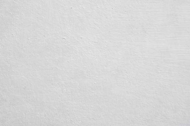 Best Mold Damage Restoration  in Baldwin, FL