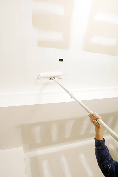 Baldwin, FL Mold Removal Company