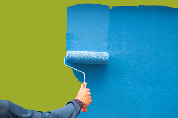 Best Mold Removal for HVAC Installations  in Baldwin, FL